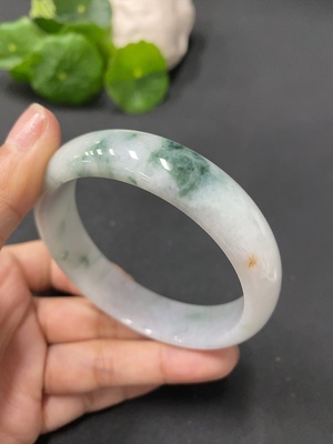 F13452026 Jadeite Regular Bangle 54.8 Circle Size
