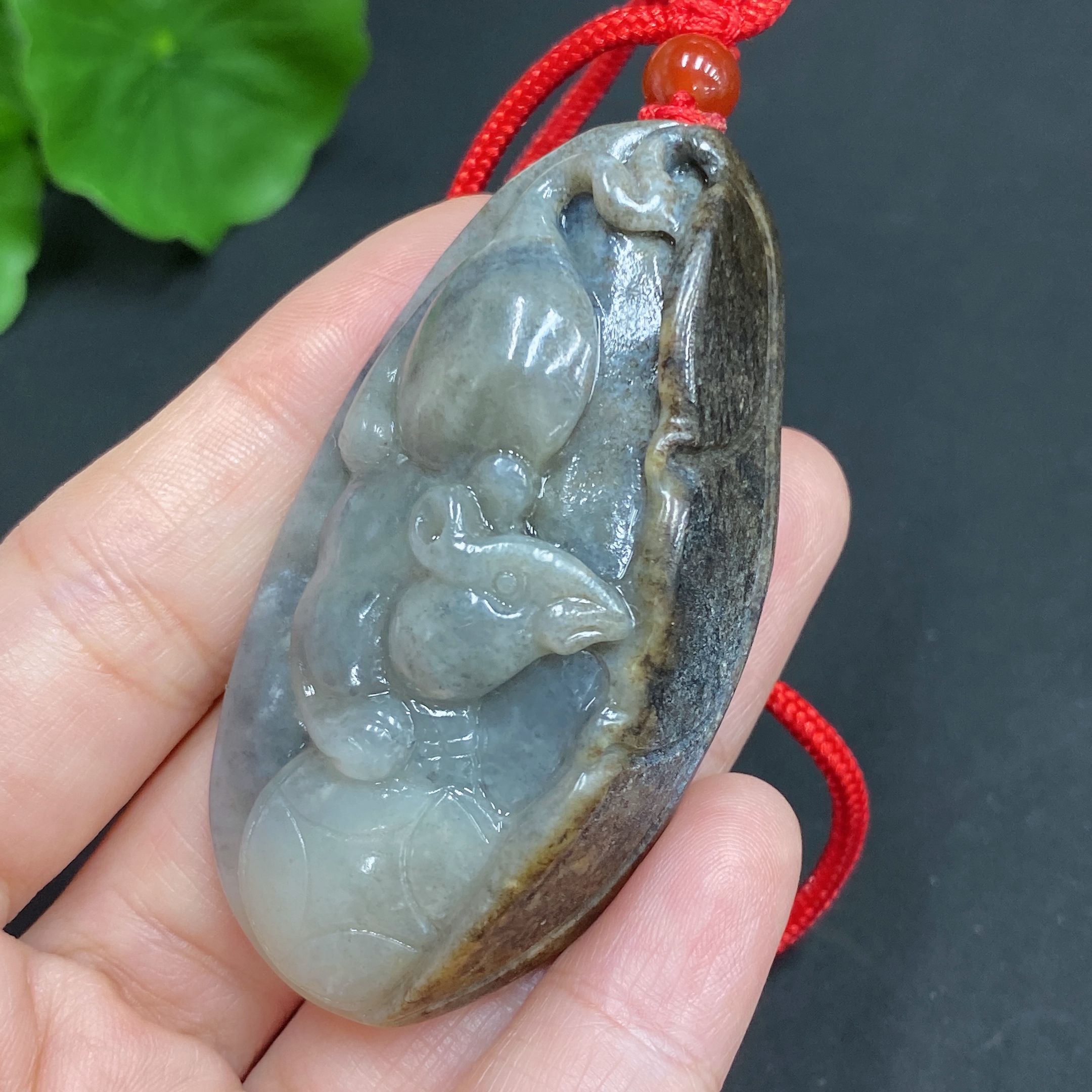 H22437789 Mouse Brings Wealth