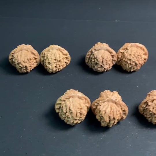 W22514683 Four Buildings Walnuts, Sell as a Lot in Five Pairs