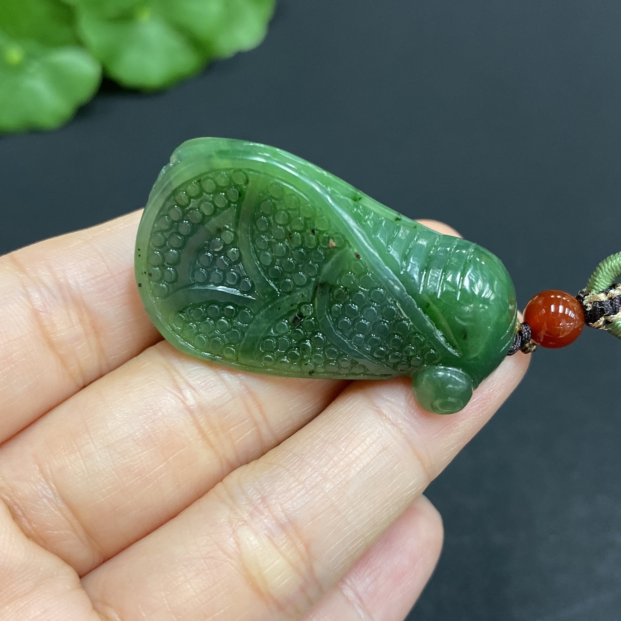 H33859945 一鸣惊人: A Startling Debut