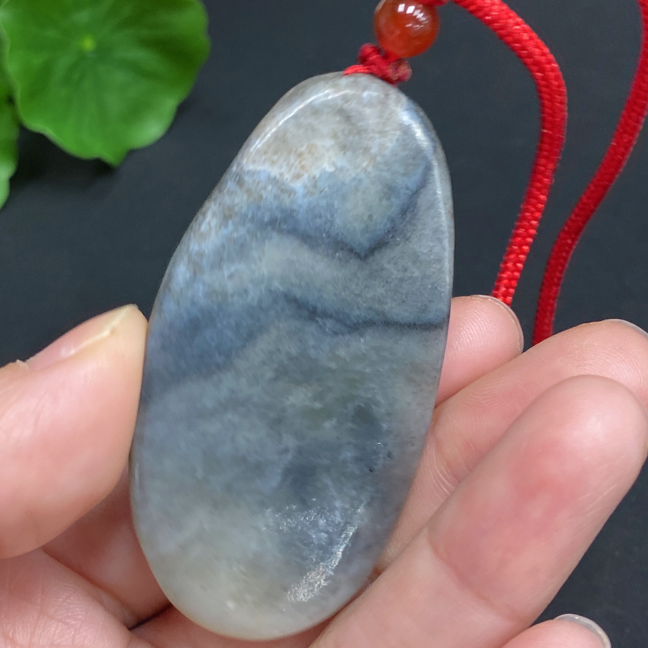 H22437789 Mouse Brings Wealth