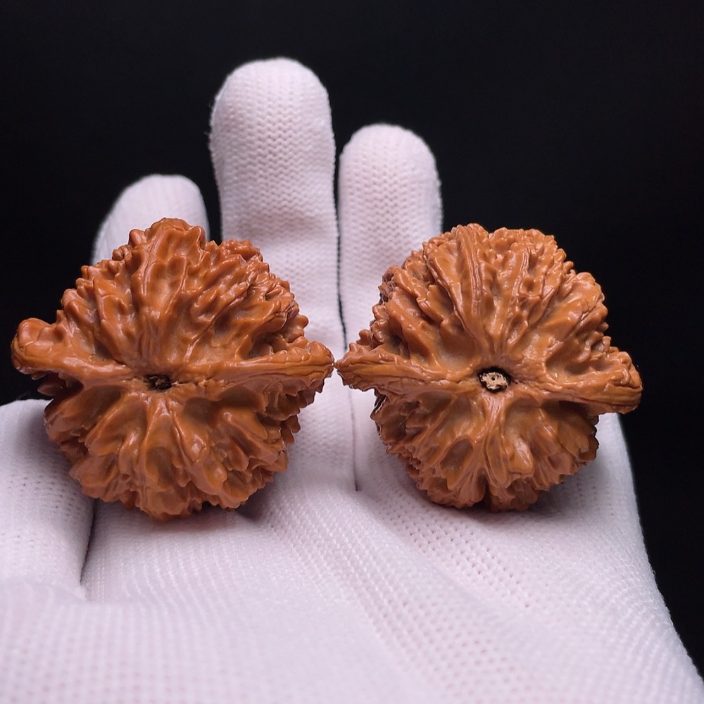 W34987410 Walnut Total weight about 42.9g Size about 40.7mm
