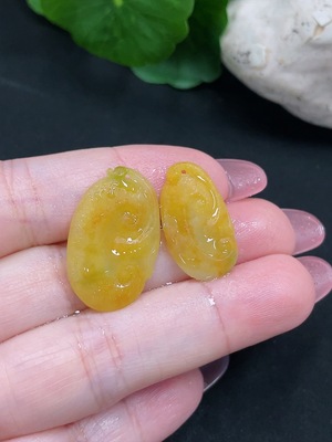 F34012170 Jadeite Pendant Rough Lot (Yellow Part Color Origin Undetermined)