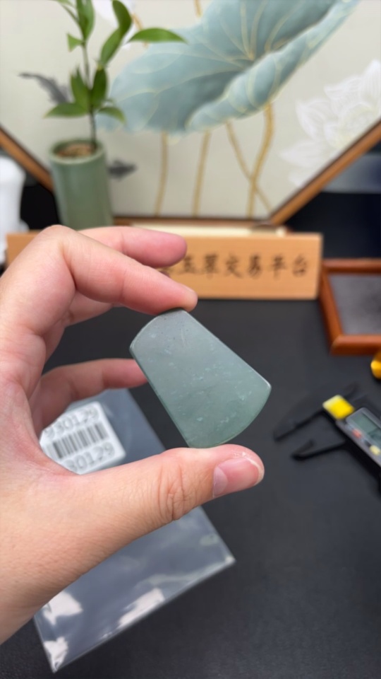 F33930129 Jadeite Unpolished Pendant Plain Pendant Total Weight Approx. 11.48g