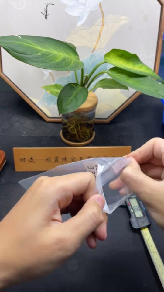 F33935580 Jadeite Auspicious Melon Pendant with 18K Gold Clasp, Total Weight Approx. 0.75g