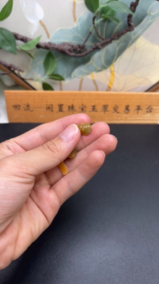 F32789814 color origin undetermined