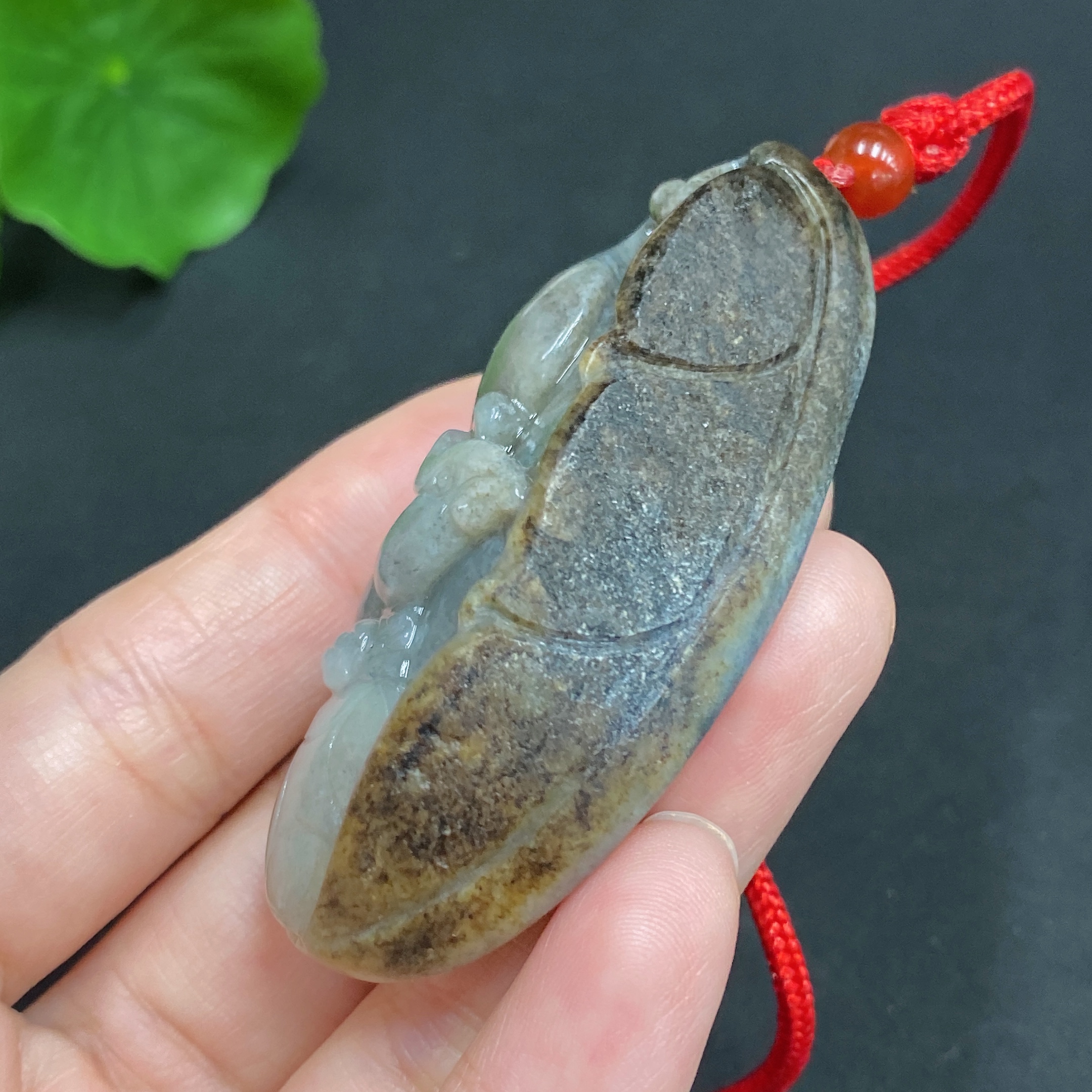 H22437789 Mouse Brings Wealth