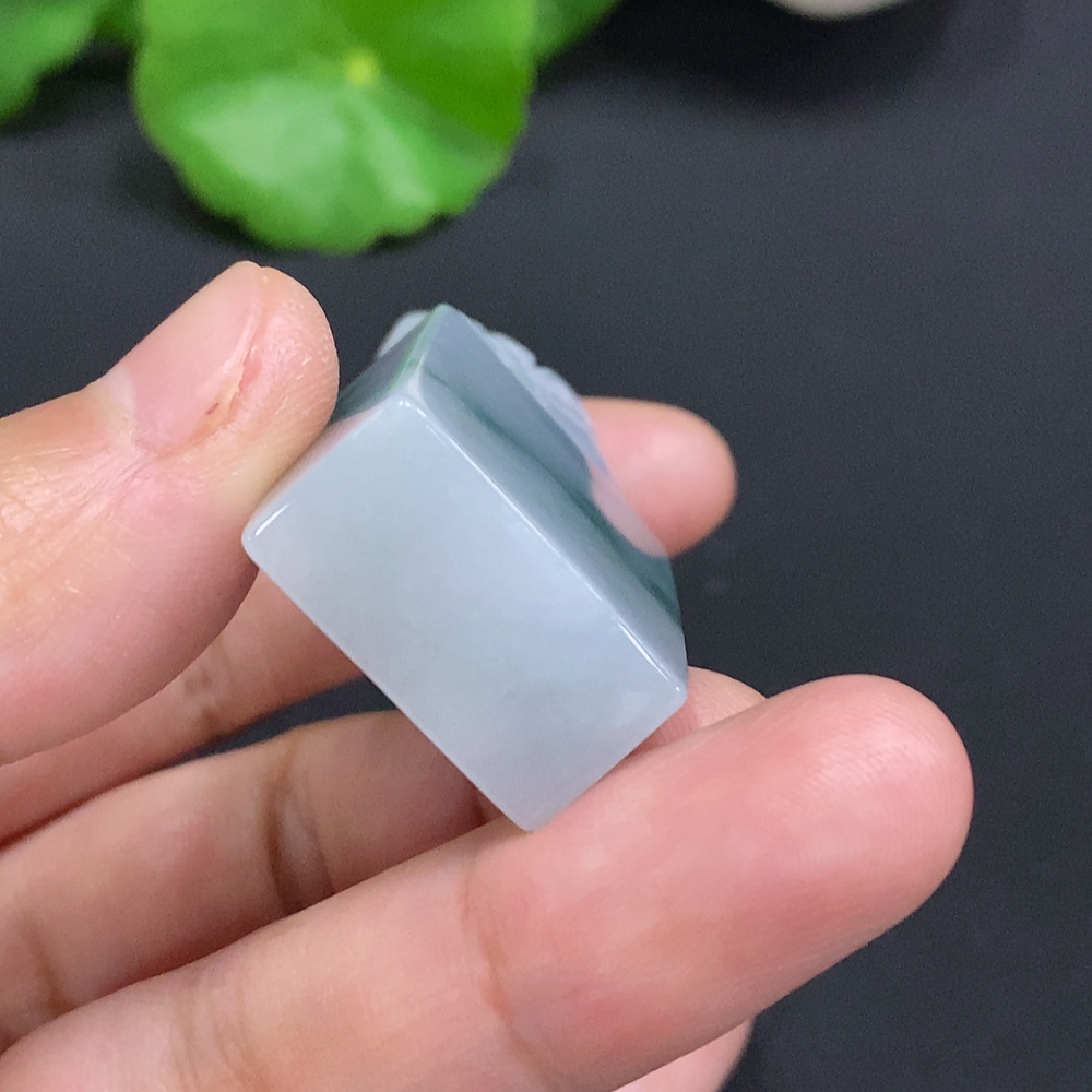 F30495688 JadeitePixiu Seal