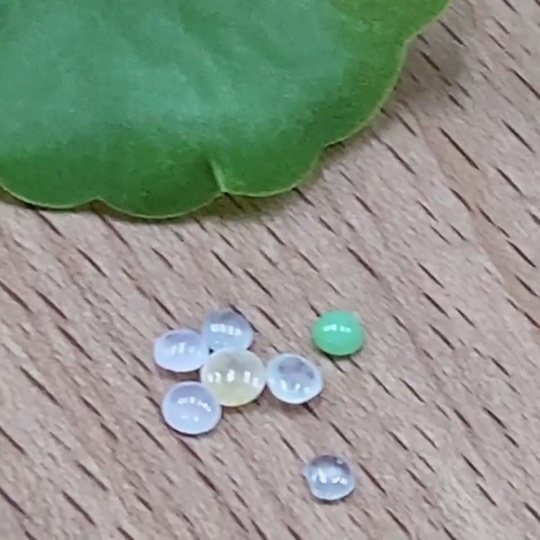 F32787789 Jadeite Cabochon Mounting Pieces Sell as a Lot Color Origin Undetermined