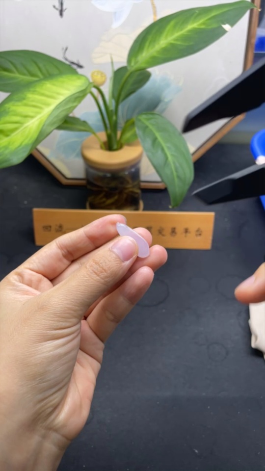 F33927126 Jadeite Inlaid Piece Total Weight Approx. 1.63g