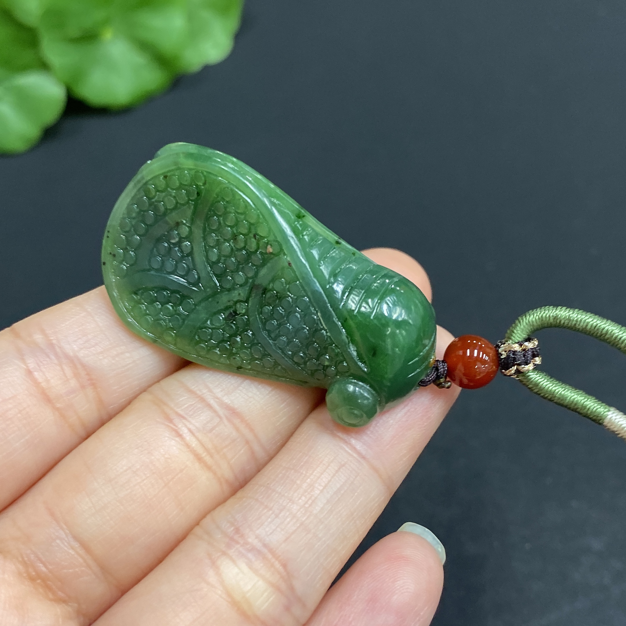 H33859945 一鸣惊人: A Startling Debut