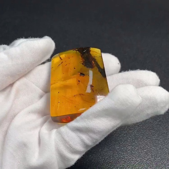 C32784360 Amber Honey Jewelry, Total Weight Approx. 20.41g