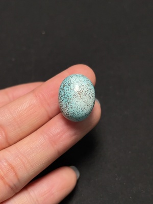 C43158720 绿松石挂件 含其他矿物成分 货品总重约4.6g 卡13.7mm左右