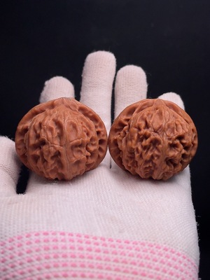 W33934645 Palace Lantern Walnut