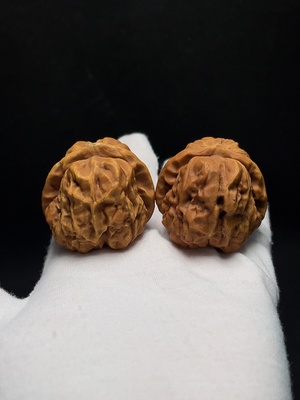 W43157719 核桃 货品总重约42.6g 卡42.8mm左右