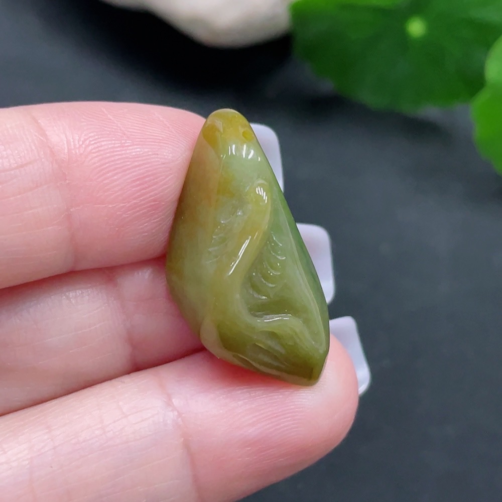 F27065361 color origin undetermined