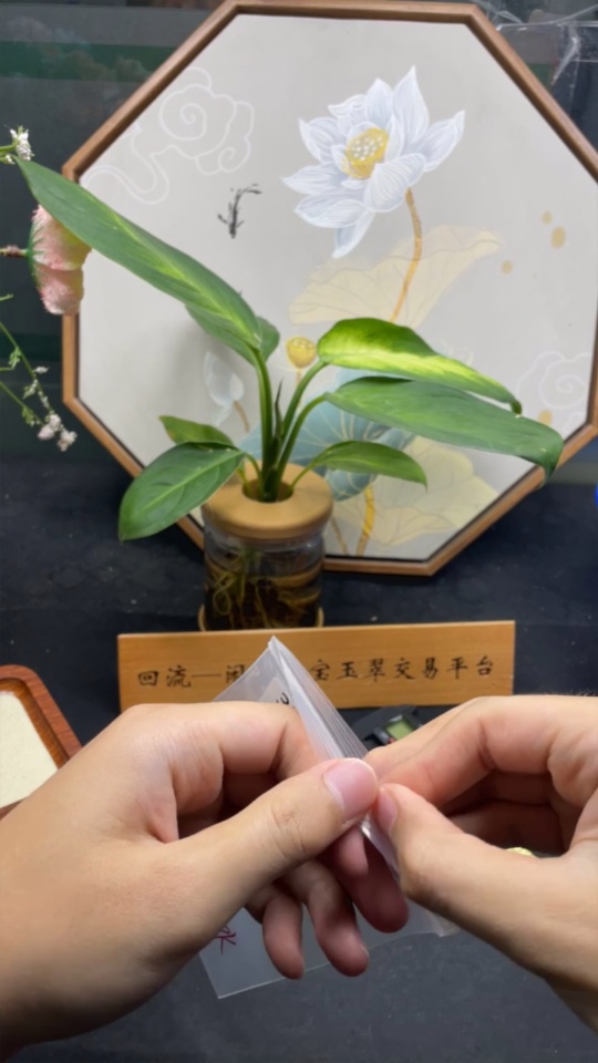 F33919056 Jadeite Teardrop Pendant in 18k Gold Setting, Total Weight Approx. 3.69g, Non-Diamond