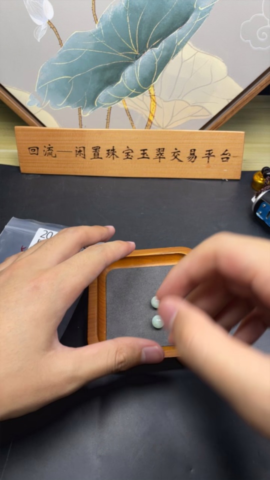 F20208118 Jadeite Beads Approx. 9.7/9.8mm