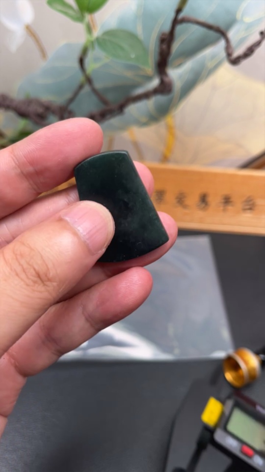 F31683569 Jadeite Plain Pendant Total weight about 7.39g