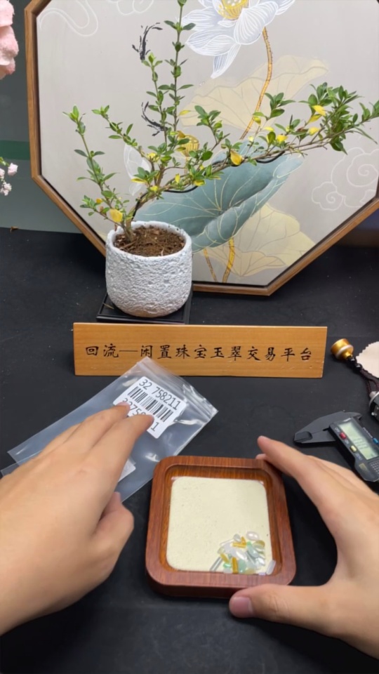 F32758211 Jadeite Inlaid Pieces Wholesale Lot (Color Origin Undetermined)