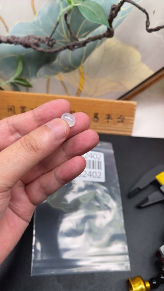 F34032402 Jadeite cabochon, total weight approx. 0.9g