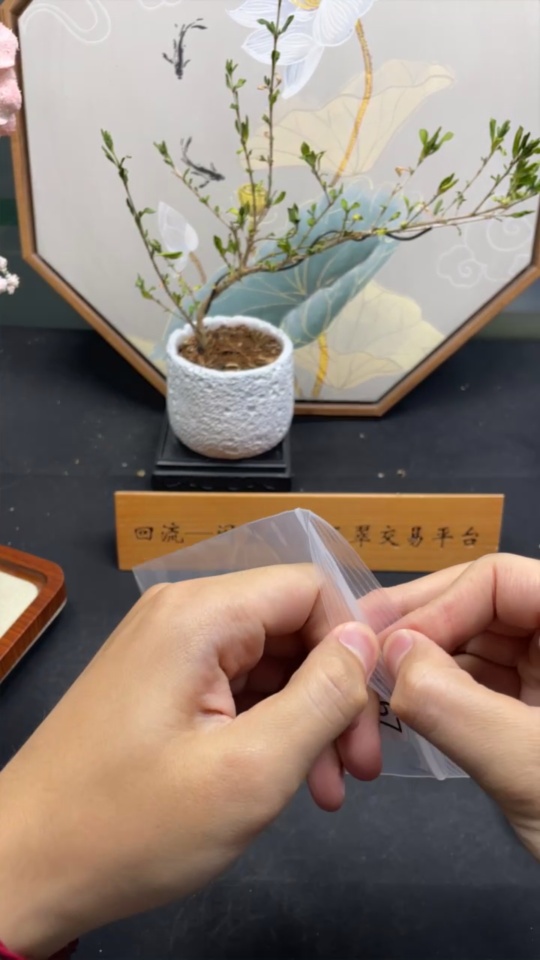 F33849767 Jadeite Inlaid Necklace Non-Gold Sell as a Lot