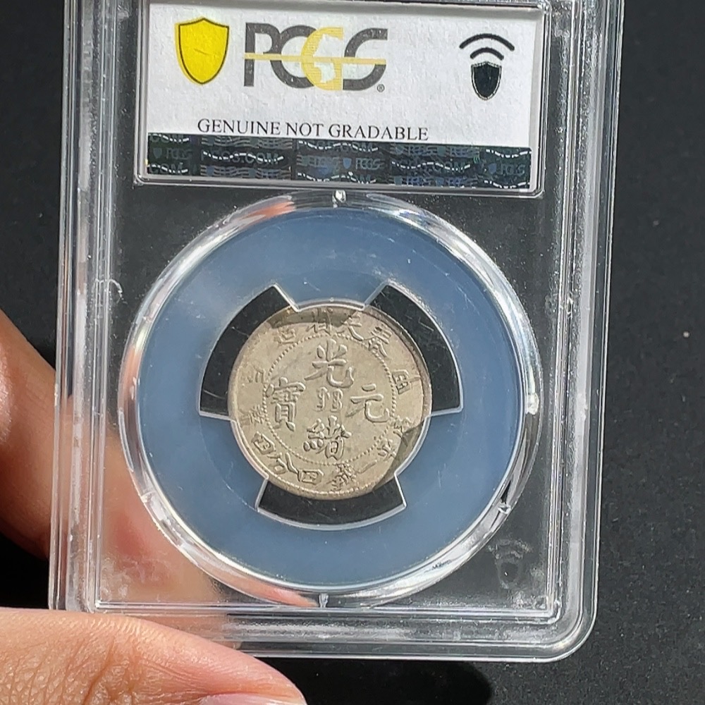 Q28312299 PCGS 20-Cent Silver Coin Full Dragon Scales Excellent Condition