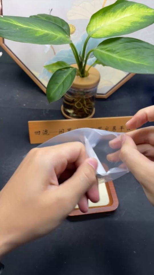 F33910047 Jadeite Ear Stud + Ring Non Gold Inlay Size 17