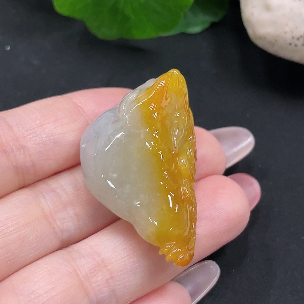 F34032326 Jadeite Tri-leg Golden Toad Pendant