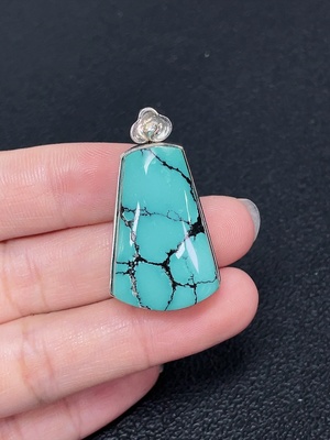 C43112106 绿松石挂件 非金 货品总重约12.9g