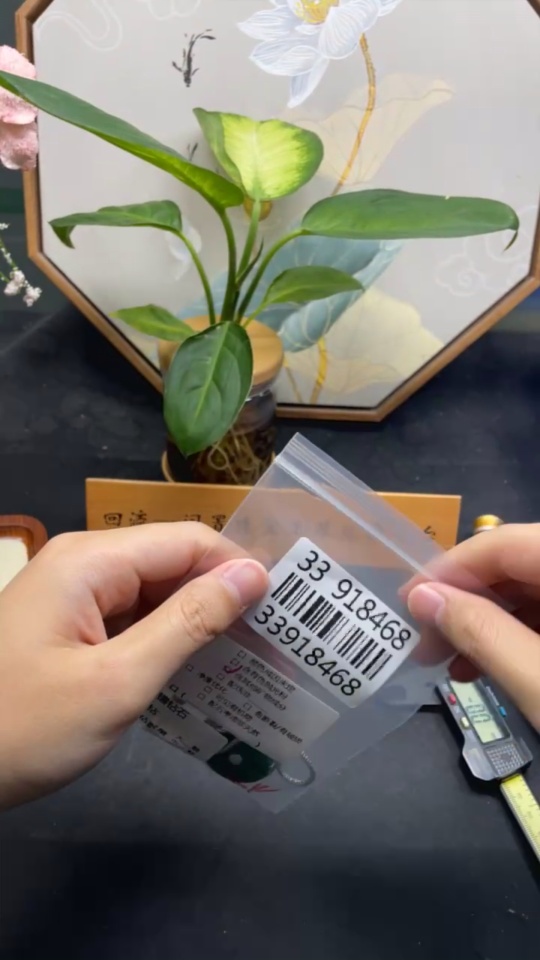 F33918468 Jadeite Inlaid Pendant 18K Gold Total Weight Approx. 28.8g (With Diamond Accents) (Including Chain Weight) (Containing Other Mineral Components)