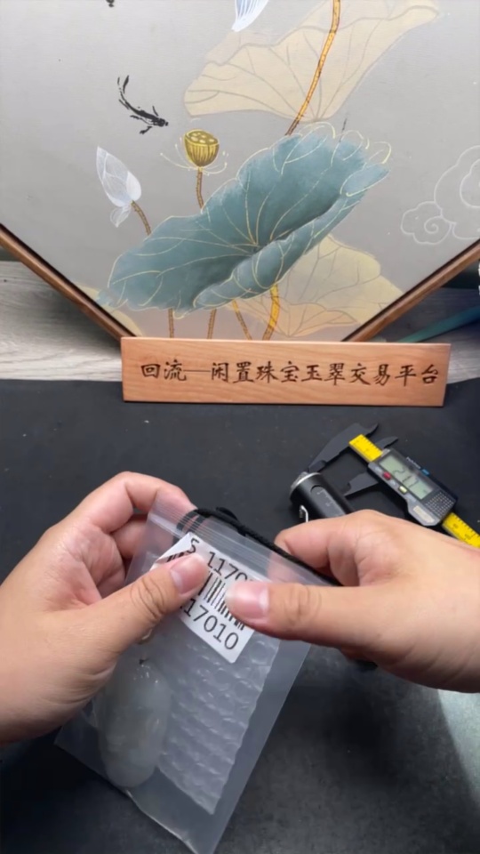 F35117010 Jadeite Pendant Dragon Plaque Total Weight Including Rope 54.93g