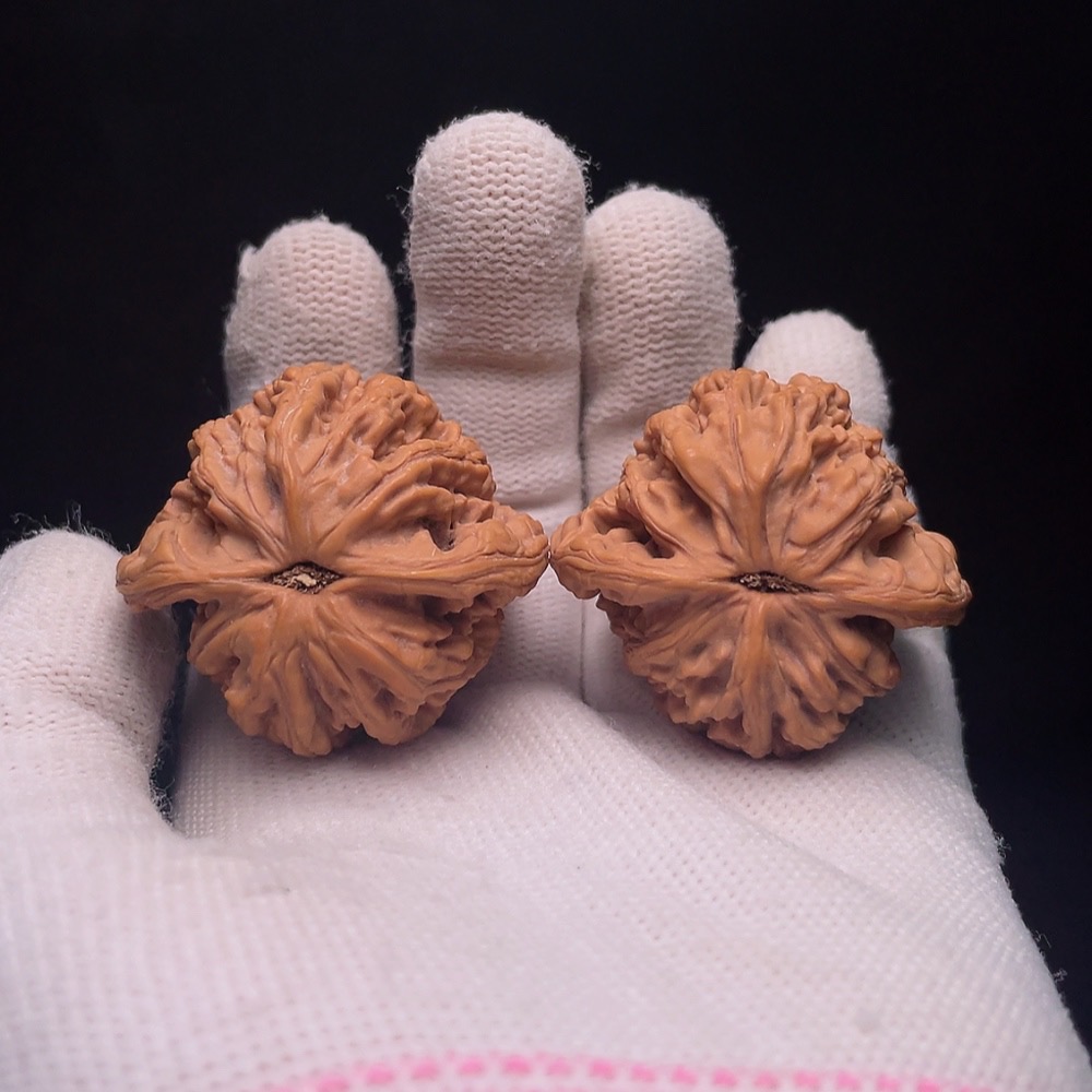 W33843108 Walnut Total weight about 37.8g Size about 38.9mm