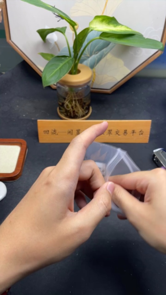 F33874286 Jadeite Landscape Pendant, Total Weight Approx. 13.2g (Including Rope Weight)