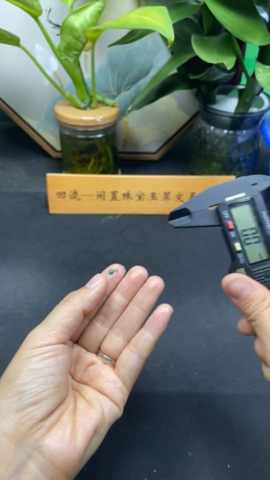 F34077126 Jadeite Cabochon