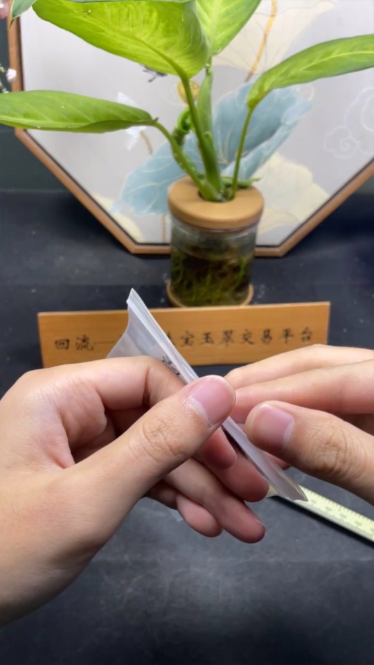 F34035606 Jadeite Cabochon Stud Earrings Non-Gold Setting Total Weight Approx. 0.7g