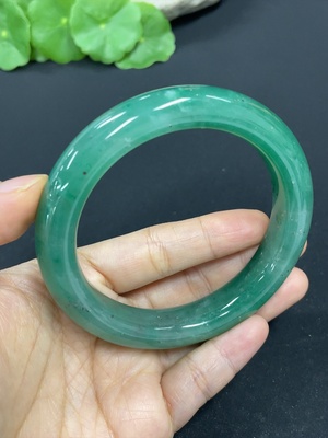 H41812664 非洲翠（独龙玉）正圈手镯    圈口61.2    货品总重约68.3g