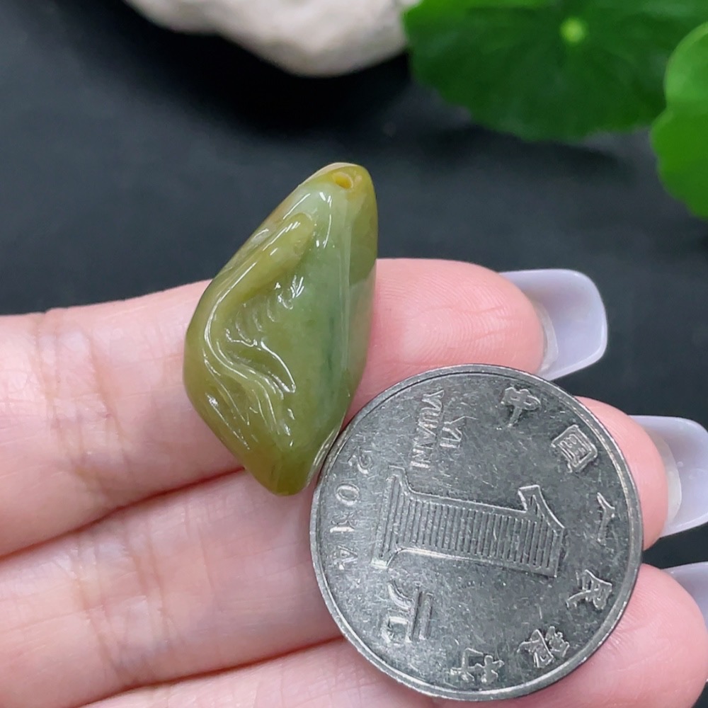 F27065361 color origin undetermined