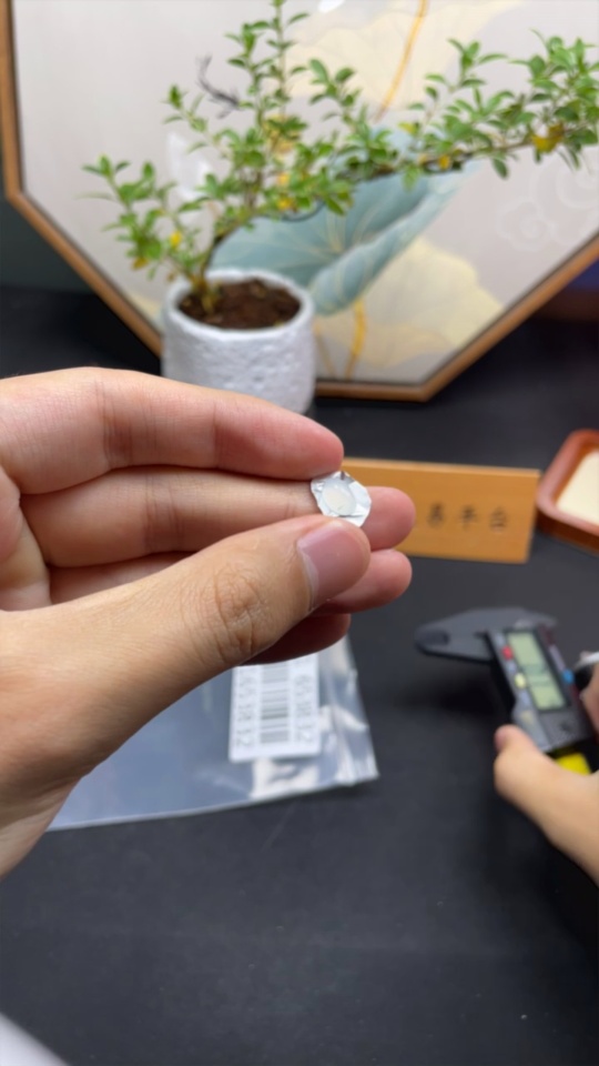 F31653832 Jadeite cabochon inlay piece, total weight approximately 0.44g