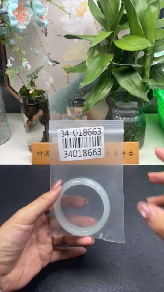 F34018663 Jadeite Round Bangle, Total Weight Approx. 67.9g, Size 57.4