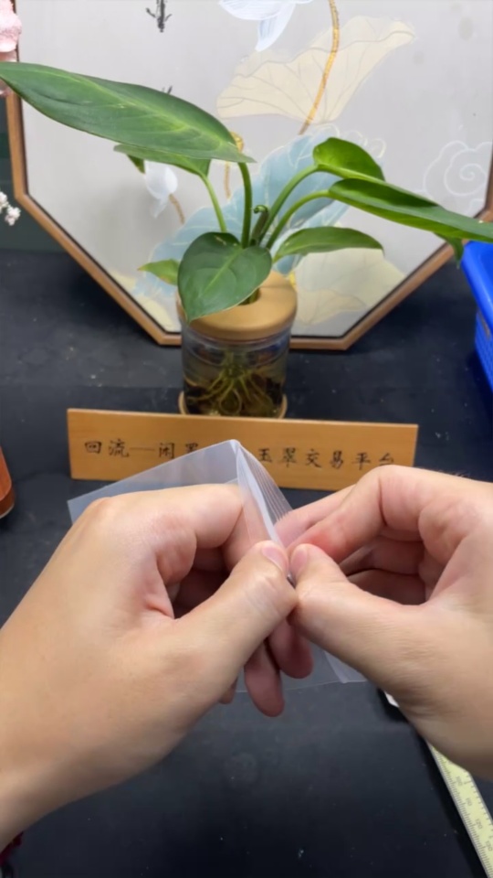 F33935874 Jadeite Guanyin Inlay Piece, Total Weight Approx. 2.48g