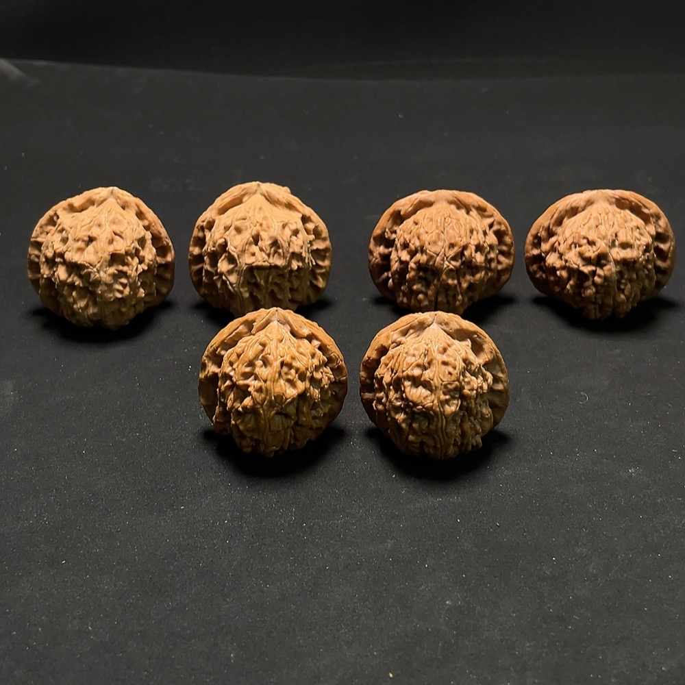 W24713378 Walnut Sell as a Lot