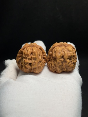 W43158650 核桃 货品总重约36.5g 卡39.3mm左右