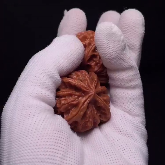 W32764706 Four-ridged Walnut, total weight approx. 30.8g, size about 39.4mm