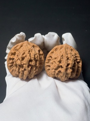 W21384974 Tiger Head Walnut, total weight approx. 34.8g