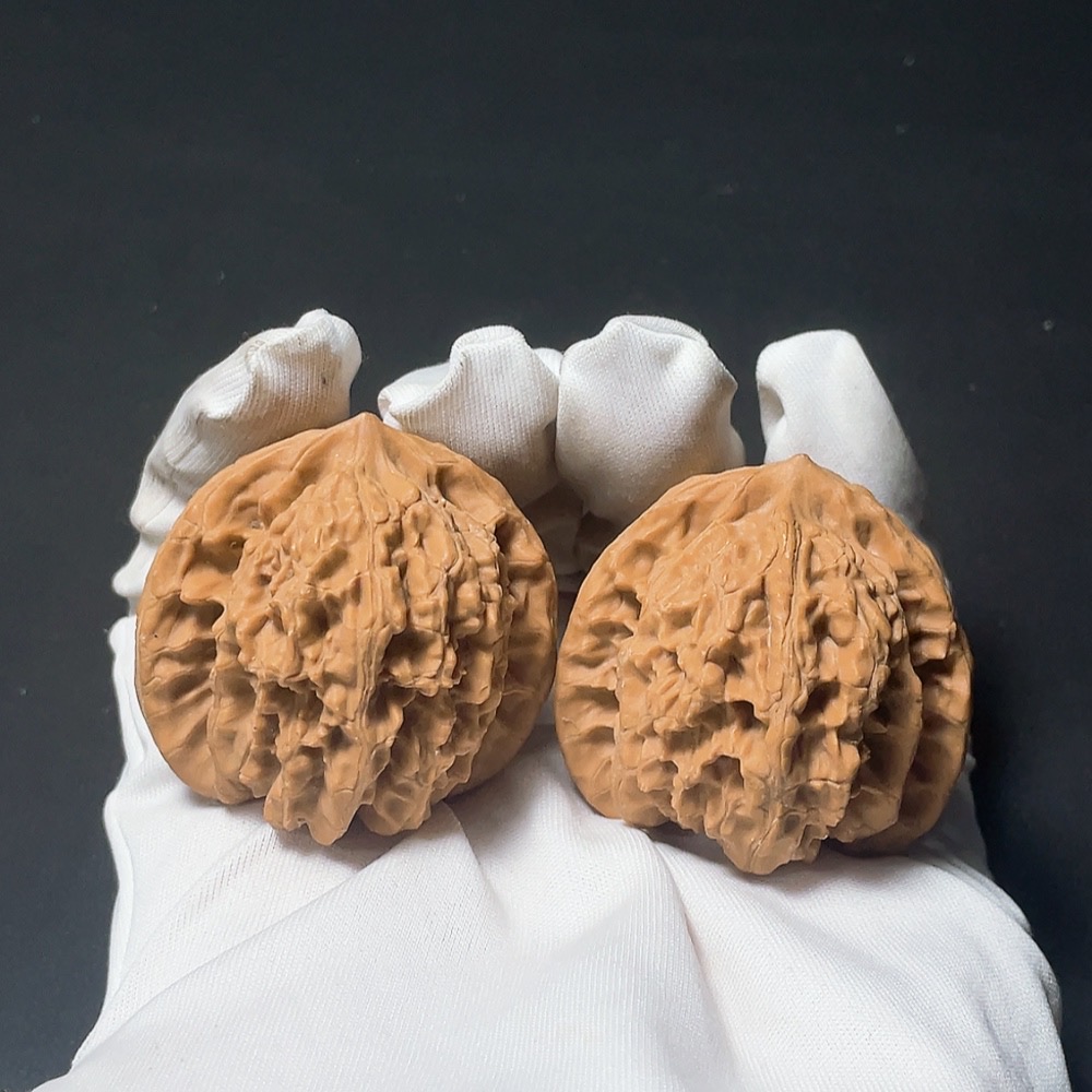 W21384974 Tiger Head Walnut, total weight approx. 34.8g