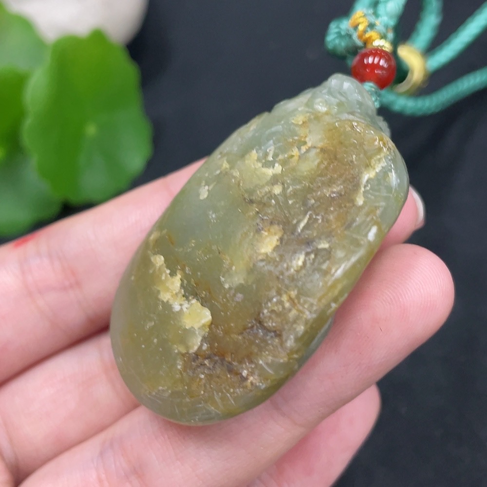 H30537049 Khotan Jade Pendant – Dragon Turtle with Undetermined Skin Color Origin, Total Weight (including rope): 46.5g