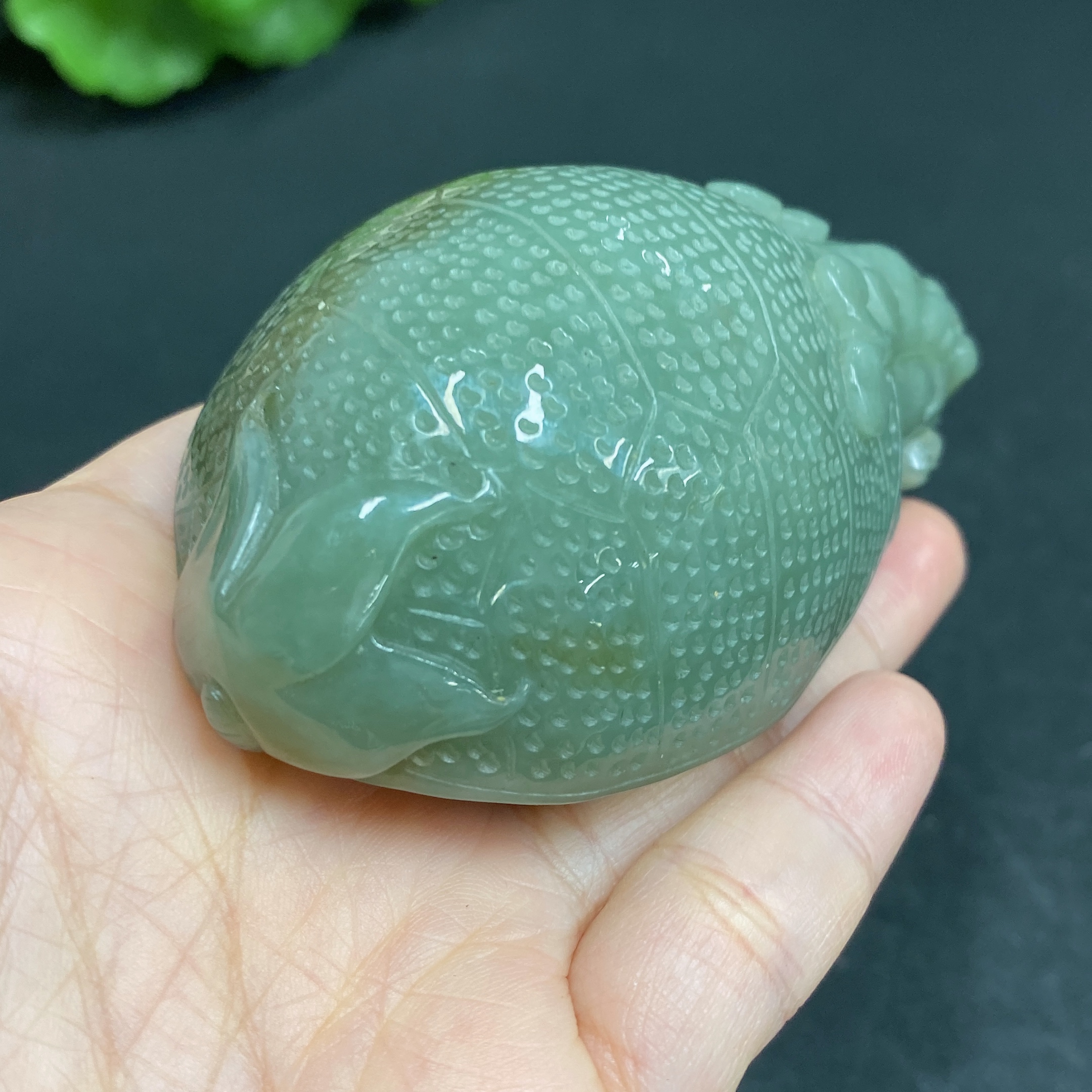 H29375602 Hetian Jade Handheld Piece, Dragon Turtle, Total Weight Approx. 184.9g