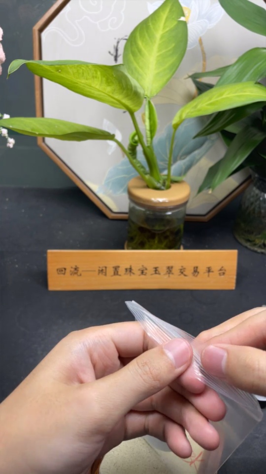 F34047386 Jadeite Pendant Buddha with 18k Bezel, Total Weight Approx. 33.46g