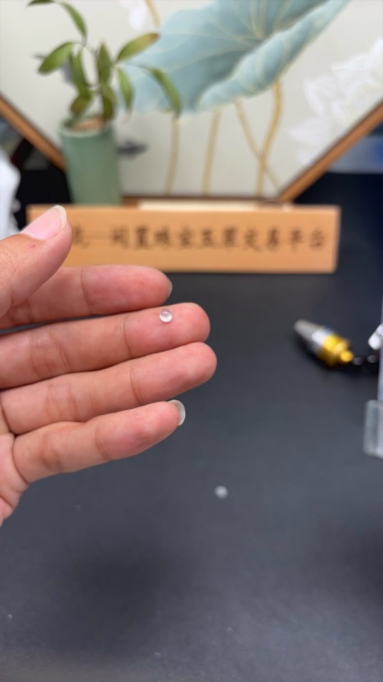 F34056287 Jadeite Cabochon Inlaid Pieces Sell as a Lot